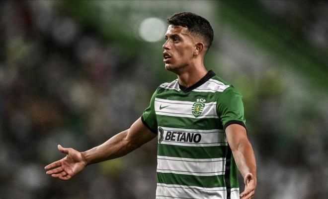 这无疑对球 这无疑对球